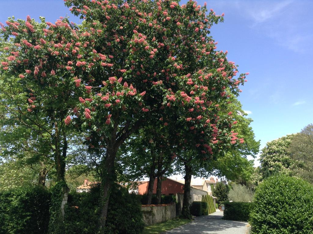 La Grange D'Aunis Bed & Breakfast Aigrefeuille-d'Aunis Luaran gambar